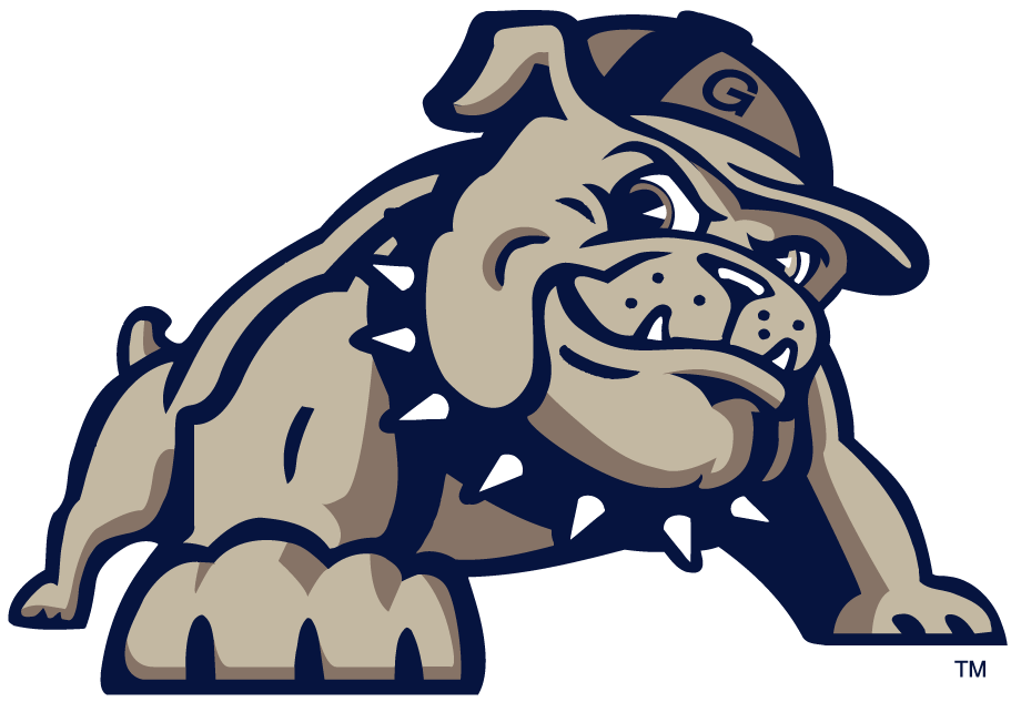 Georgetown Hoyas 2000-Pres Alternate Logo iron on paper